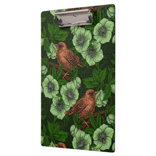 Wren en hellebore op donkergroen klembord (Links)