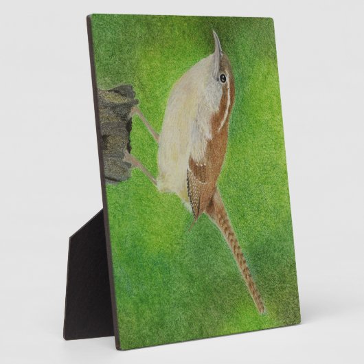 Wren Fotoplaat (Zijkant)