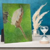 Wren Fotoplaat (Zijkant)
