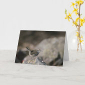 Wren Kaart (Gele Bloem)