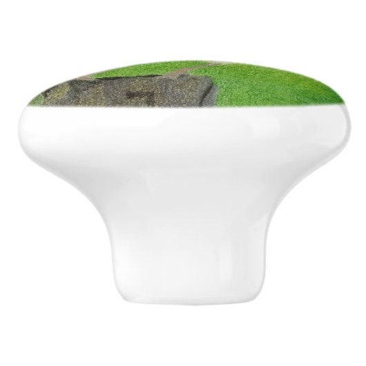 Wren Keramische Knop (Zijkant)