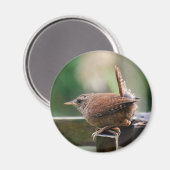 Wren Magneet (Voorkant / Achterkant)