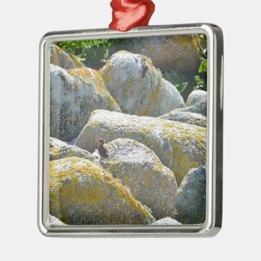 Wren Metalen Ornament (Links)