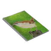 Wren Notitieboek (Rechterzijde)