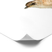 Wren Poster (Hoek)