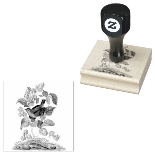 Wren Raspberry Scrapbooking Rubberstempel (Gestempeld)