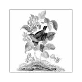 Wren Raspberry Scrapbooking Rubberstempel (Afrduk)