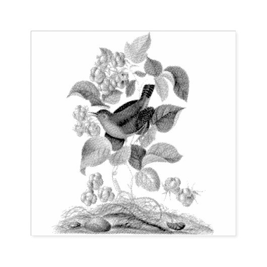 Wren Raspberry  Scrapbooking Rubberstempel (Afrduk)