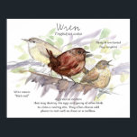 Wren Songbird Study Nature Wildlife Art Poster<br><div class="desc">I started a project to learn about more birds, those that are new to me. I take my sketches and notes and put them together. Doing this helps sink it into my memory. A watercolor depiction of house wrens on branches, one singing a song - they love to sing. I...</div>