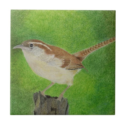 Wren Tegeltje (Voorkant)