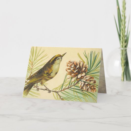 Wren Verjaardag Kaart (Voorkant)