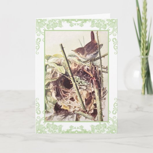 Wren  verjaardagskaart kaart (Voorkant)