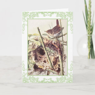 Wren  verjaardagskaart kaart