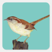 Wren Vierkante Sticker (Voorkant)