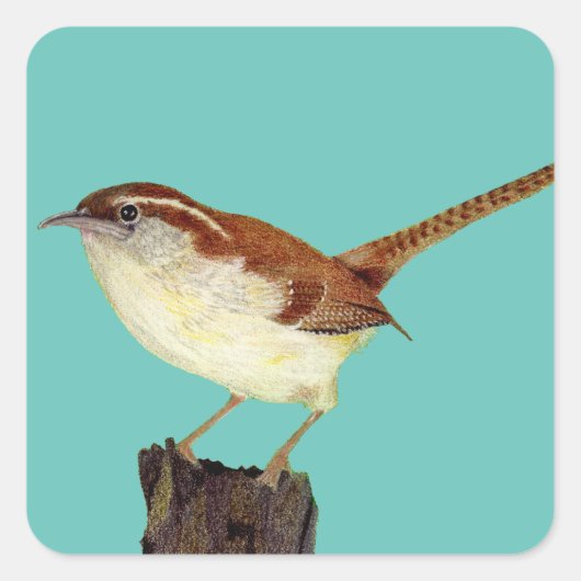 Wren Vierkante Sticker (Voorkant)