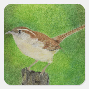 Wren Vierkante Sticker