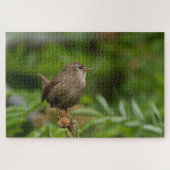 Wren (Winterkoninkje) Legpuzzel (Horizontaal)