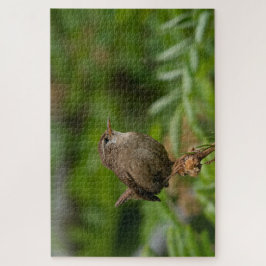 Wren (Winterkoninkje) Legpuzzel