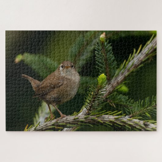 Wren (Winterkoninkje) Legpuzzel (Horizontaal)