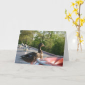 Wrenbury Duck Llangollen Canal Notecard Kaart (Gele Bloem)