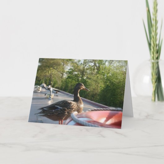 Wrenbury Duck Llangollen Canal Notecard Kaart (Voorkant)