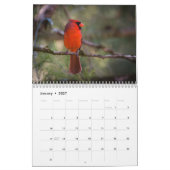 Wrens kardinalen kolibries spechten vogel kalender (Jan 2027)