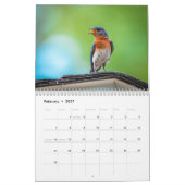 Wrens kardinalen kolibries spechten vogel kalender (Feb 2027)