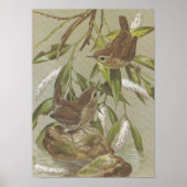  Wrens Poster (Voorkant)