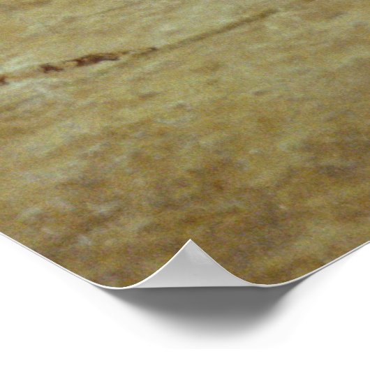 Wrestlers, detail van een grafwandschilderij poster (Hoek)