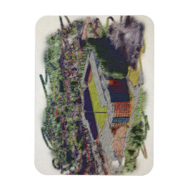 Wrexham AFC, Racecourse Ground Magneet