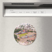 Wrexham AFC, Racecourse Ground Magneet (Insitu (Vaatwasser))