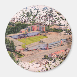 Wrexham AFC, Racecourse Ground Magneet