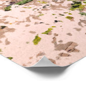 Wrexham AFC, Racecourse Ground Poster (Hoek)