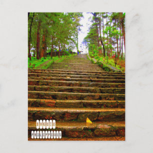 Wright Park in Baguio Briefkaart