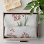 Wright Pentstemon van Mary Vaux Walcott Tissuepapier (Geschenk)