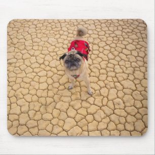 "Wrinkles on Cracks" Funny Adventure Pug Muismat