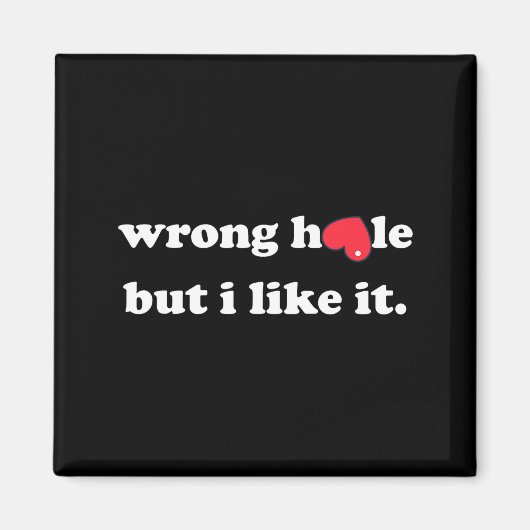 Wrong Hole But I Like It Funny Quote Meme Magneet (Voorkant)