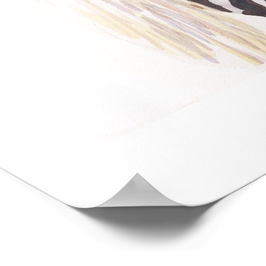 "Wrong Way" Zebra Wildlife Waterverf Poster (Hoek)