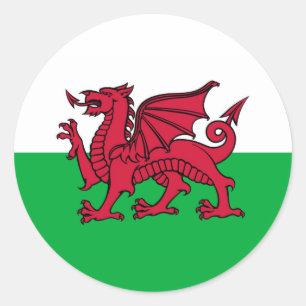 Wsh dragon flag sticker