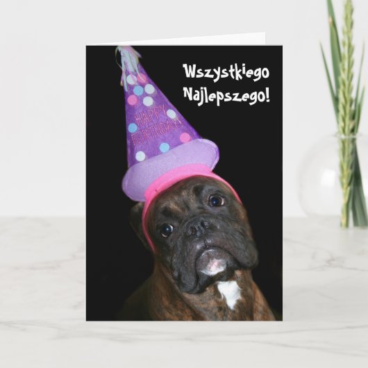 Wszystkiego Najlepszego Poolse Birthday boxer card Kaart (Voorkant)