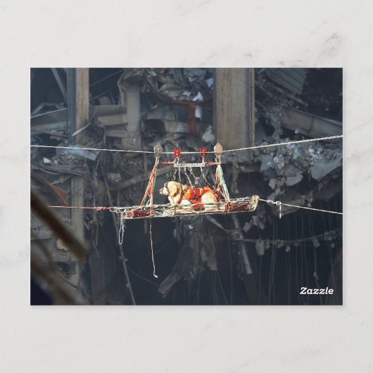 WTC6-afbeelding op niet-glanzende achterzijde van  Briefkaart (Achterkant)