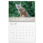 WTM Photography 2026 Calendar (11x14) Kalender (Mar 2027)