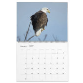 WTM Photography 2026 Calendar (11x14) Kalender (Jan 2027)