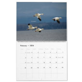 WTM Photography 2026 Calendar (11x14) Kalender (Feb 2026)