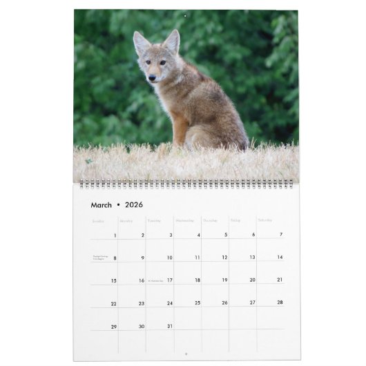 WTM Photography 2026 Calendar (11x14) Kalender (Mar 2026)
