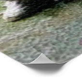 Wu Dang T'ai Ji Print (Hoek)