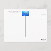 Wuhan Bat Briefkaart (Achterkant)