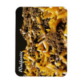 Wulfenite Mineral Foto Magneet (Verticaal)