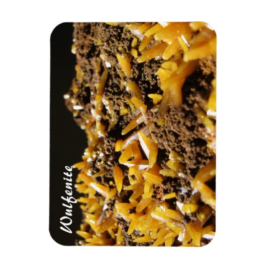 Wulfenite Mineral Foto Magneet (Verticaal)