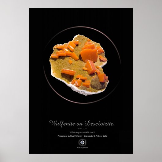 WULFENITE POSTER (Voorkant)